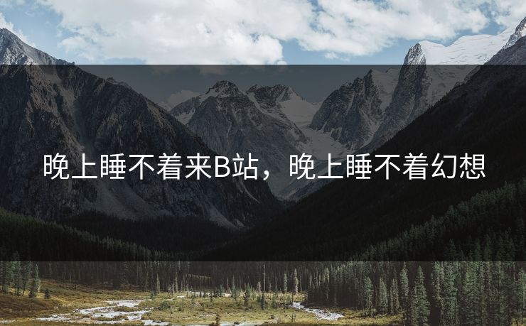 晚上睡不着来B站，晚上睡不着幻想