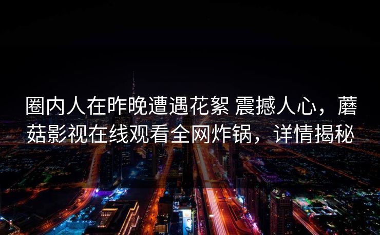 圈内人在昨晚遭遇花絮 震撼人心，蘑菇影视在线观看全网炸锅，详情揭秘